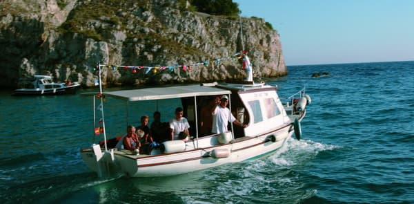 Traditicionalni brod pasara TONI